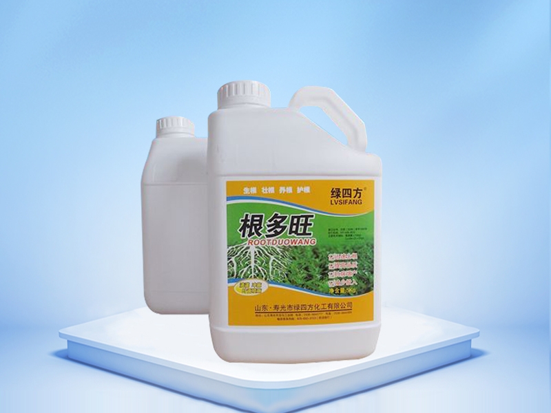 22號：5L